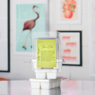 Take a Hike Soy Wax Melts