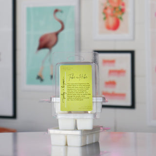 Take a Hike Soy Wax Melts