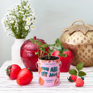 You Are My Jam Strawberry Grow Kit
