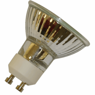 NP1 Replacement Bulb