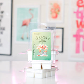 Central Park in Autumn Soy Wax Melts