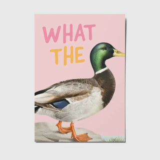 What the Duck Postcard